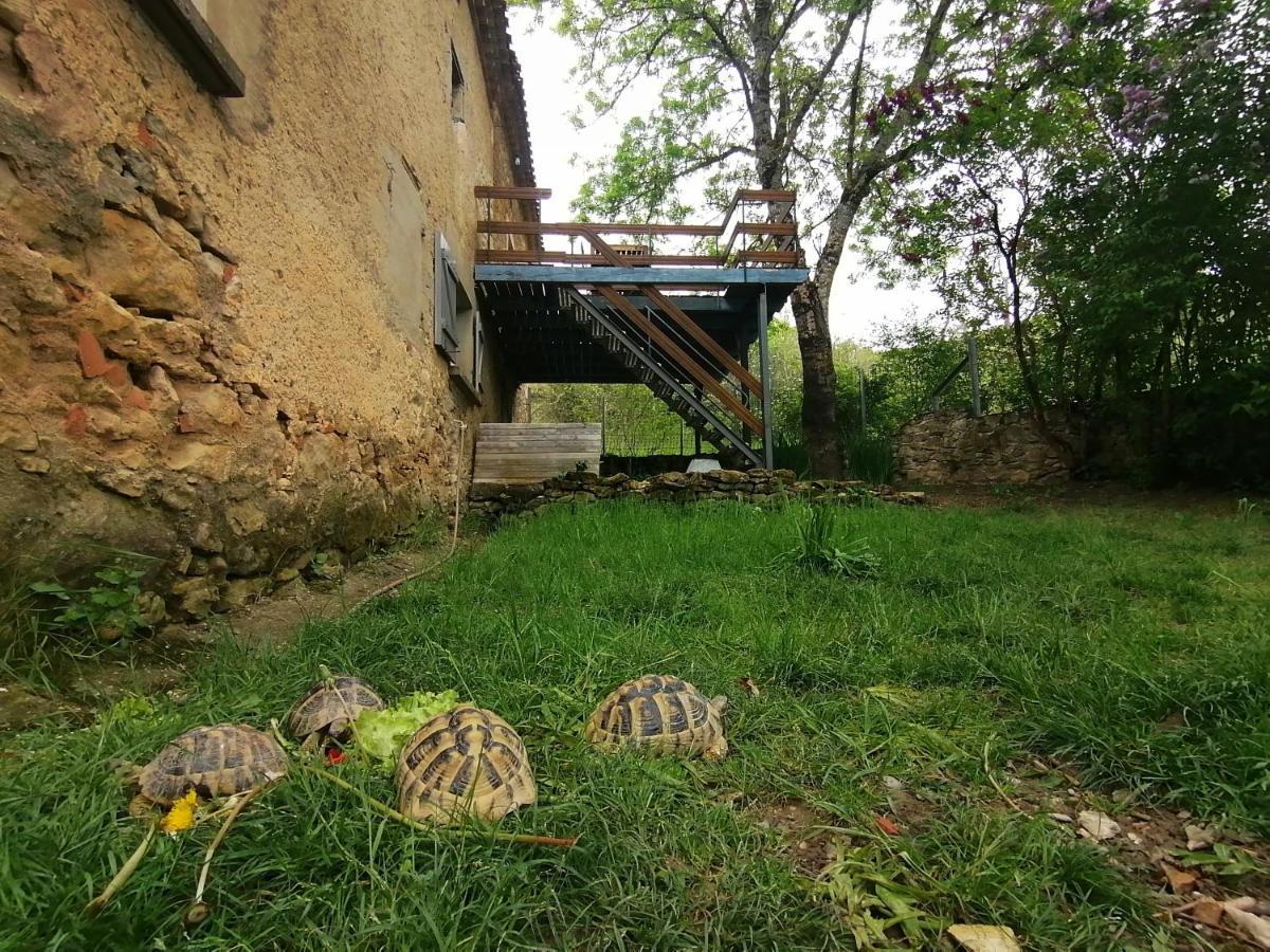 Gite Du Fassac Saint-Julien-du-Puy Esterno foto
